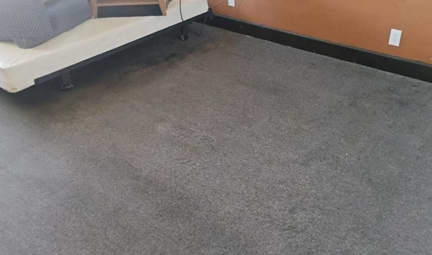 CARPET CLEANING